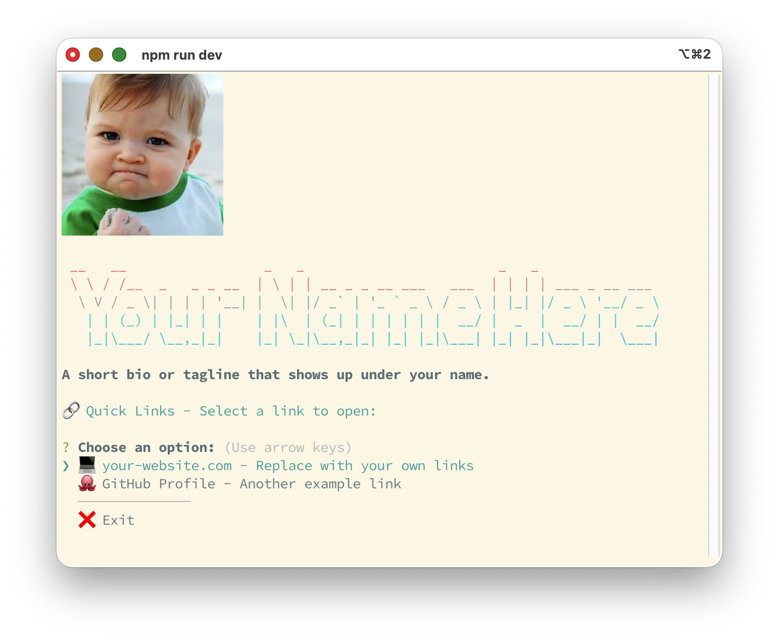 Terminal welcome screen showing ASCII art title, avatar, bio, and a quick links menu
